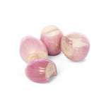 Load image into Gallery viewer, Shallot Peeled (1kg/pkt)