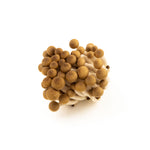 Load image into Gallery viewer, Brown Shimeiji Mushroom (150g/pkt)