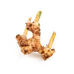Load image into Gallery viewer, Ginger Blue (250g/pkt)