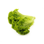 Load image into Gallery viewer, Green Coral Lettuce (300g/pkt)