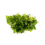 Load image into Gallery viewer, Mint Leaf (50g/pkt)