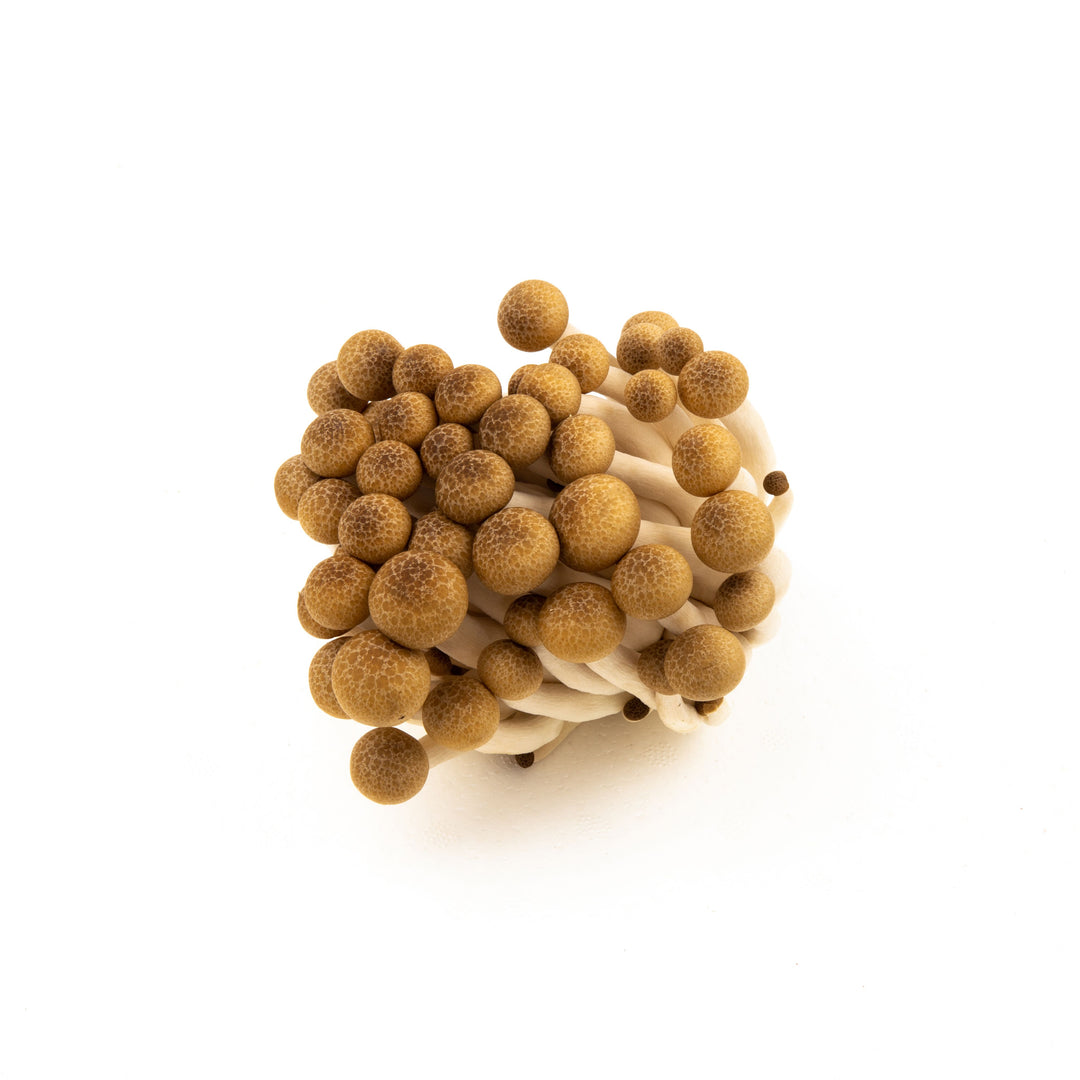 Brown Shimeiji Mushroom (150g/pkt)