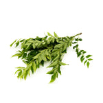 Load image into Gallery viewer, Curry Leaf (50g/pkt)
