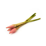 Load image into Gallery viewer, Ginger Flower (1pcs)