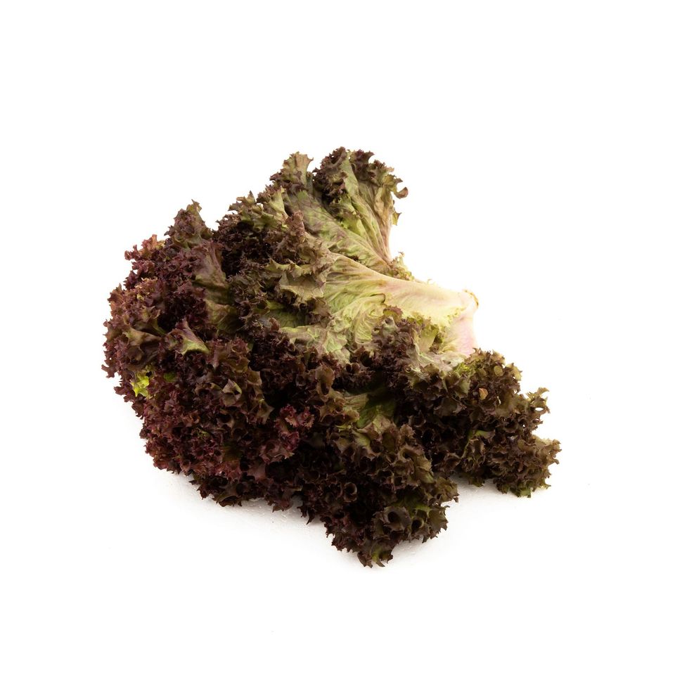 Red Coral Lettuce (300g/pkt)