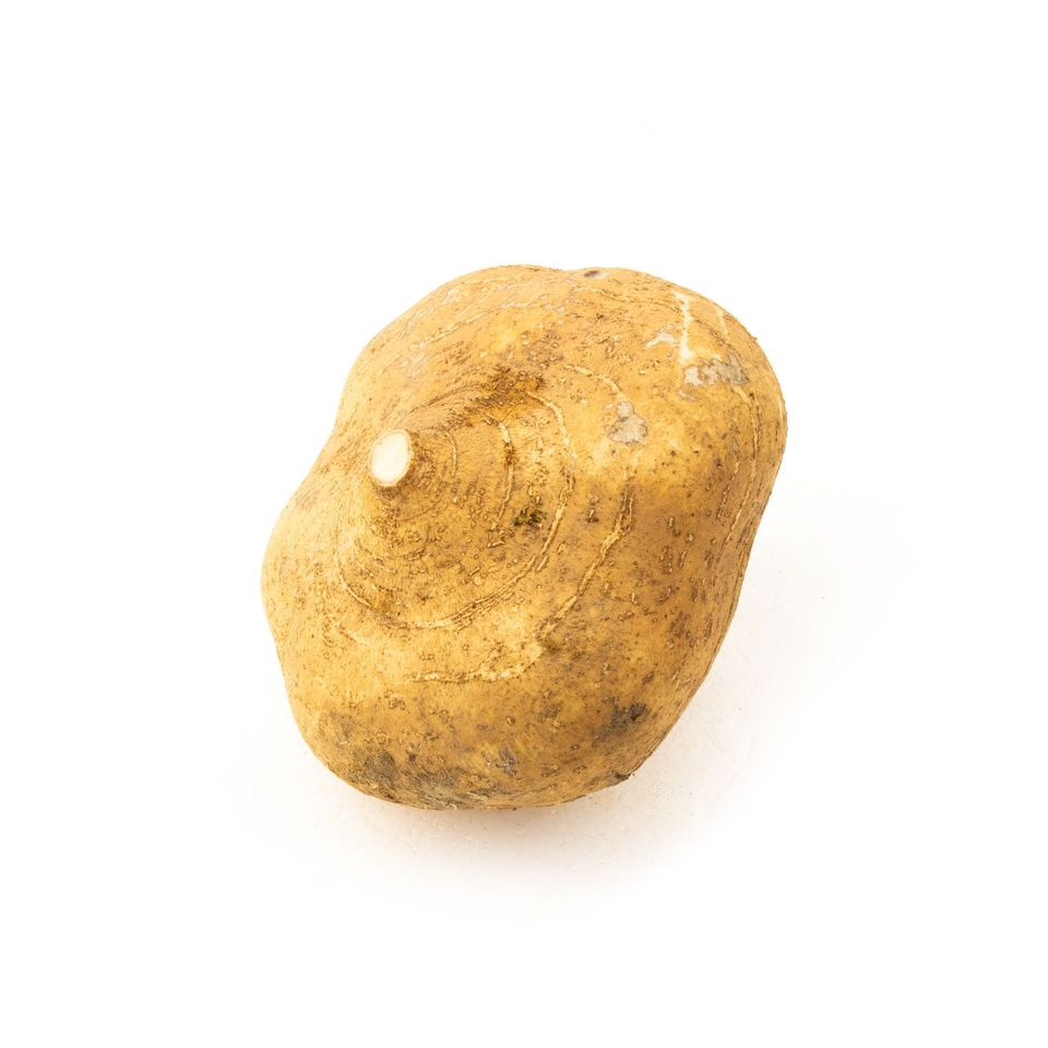 Turnip (800-1kg/pcs)