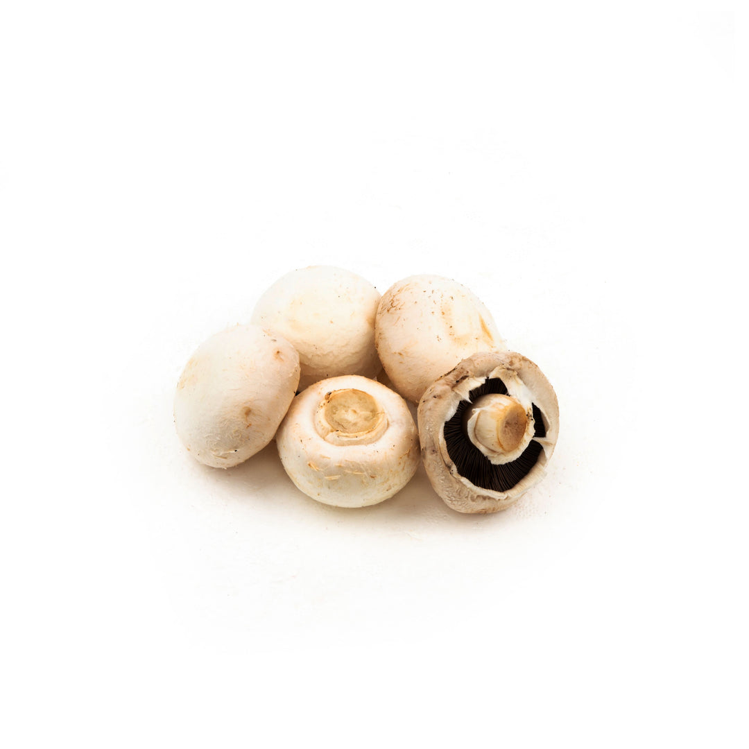 White button mushroom (500g/pkt)