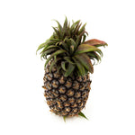 Load image into Gallery viewer, Honey Pineapple (1pcs)