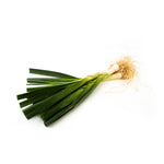 Load image into Gallery viewer, Leek China (500g/pkt)