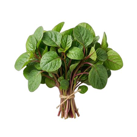 China Spinach (250g/pkt)