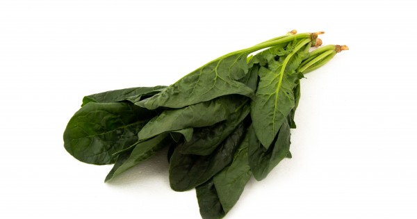 China Spinach 菠菜（中国)